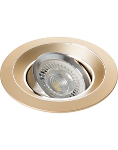 Кольцо точечного светильника COLIE DTO G круг золотой 26741 Kanlux