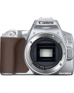 Зеркальный фотоаппарат EOS 250D Kit 18 55 IS STM серебристый Canon