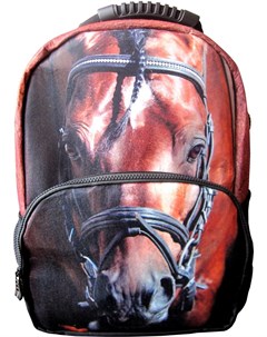 Школьный рюкзак HD Horse NR_00058 Hatber