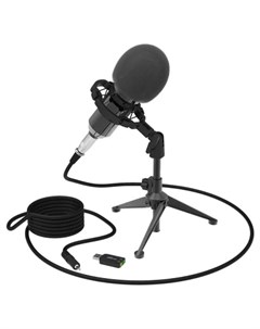 Микрофон RDM 160 Ritmix