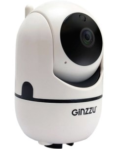 IP камера HWD 2302A Ginzzu