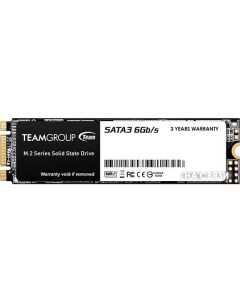SSD MS30 256GB TM8PS7256G0C101 Team