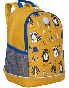 Школьный рюкзак RG 163 8 желтый Grizzly