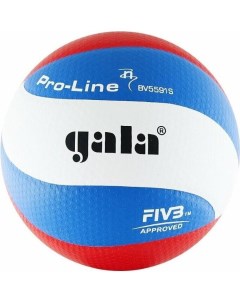 Волейбольный мяч Pro Line 10 BV5881SA Gala