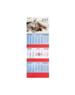 Календарь настенный Brauberg