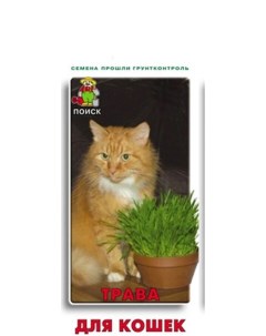 Трава для кошек ЦВ 5г семена Поиск