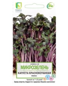 Микрозелень Капуста краснокочанная 5г семена Поиск