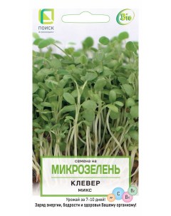 Микрозелень Клевер 5г семена Поиск