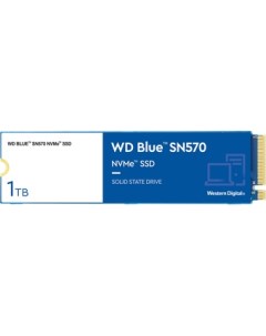SSD Blue SN570 1TB S100T3B0C Wd