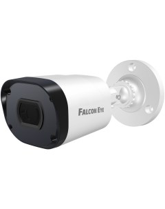 IP камера FE IPC BP2e 30p Falcon eye