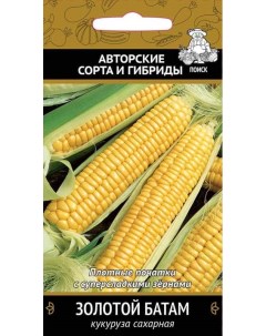 Кукуруза сахарная Золотой батам А ЦВ 8 г семена Поиск