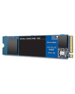 SSD Blue SN550 NVMe 250GB S250G2B0C Wd