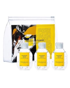 Набор гелей для рук антибактериальный Hand Wash Mango Skin Rinse Free Vilhelm parfumerie