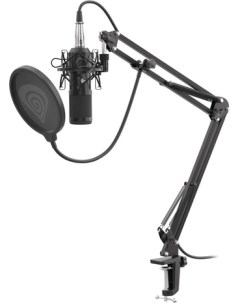 Микрофон Radium 300 XLR Genesis