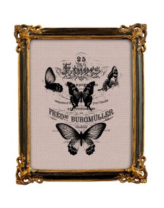 Репродукция ретро гравюры butterfly dance в раме селин черный 25x40x2 см Object desire