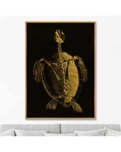 Репродукция картины на холсте turtle skeleton 1733г черный 75x105 см Картины в квартиру