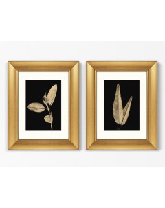 Набор из 2 х репродукций картин в раме golden leaves no2 мультиколор 40x50 см Картины в квартиру