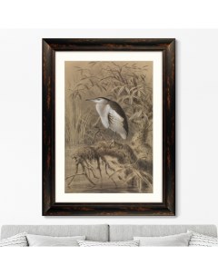 Репродукция картины в раме птица у озера 1890г коричневый 60x80 см Картины в квартиру