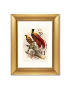Репродукция картины в раме красная райская птица 1880г красный 40x50 см Картины в квартиру