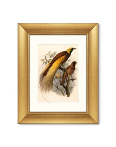 Репродукция картины в раме большая райская птица 1880г коричневый Картины в квартиру