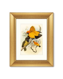 Репродукция картины в раме золотые райские птицы 1885г желтый 40x50 см Картины в квартиру