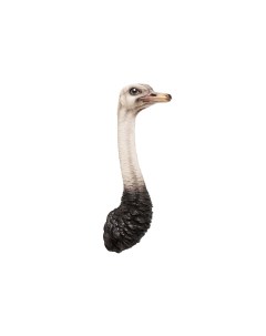 Украшение настенное ostrich мультиколор 25x72x19 см Kare