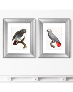 Набор из 2 х репродукций картин в раме beautiful parrots 2 1872г серый 40x50 см Картины в квартиру