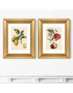 Набор из 2 х репродукций картин в раме juicy fruit lithography 10 1870г бежевый 40x50 см Картины в квартиру