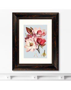 Репродукция картины в раме himalaya plants pink flower 1869г розовый 40x50 см Картины в квартиру