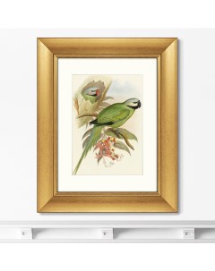 Репродукция картины в раме love parrots ii 1851г зеленый 40x50 см Картины в квартиру