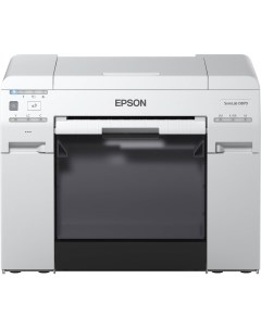 Принтер и МФУ SureLab SL D800 Epson