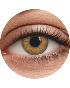 Цветные контактные линзы Fusion color Amber на 1 месяц Okvision