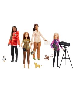 Игрушка Кукла Исследователь в ассорт Nat Geo Barbie GDM44 Mattel