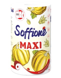 Полотенца бумажные Maxi 2сл 1рул Soffione
