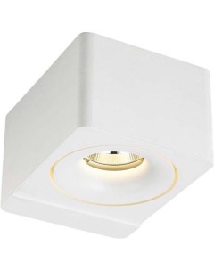 Накладной точечный светильник DL18620 01WW R White Donolux