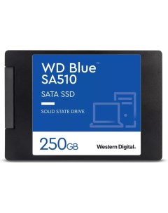 SSD диск S250G3B0A Wd