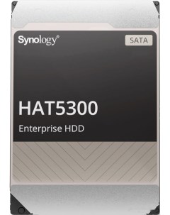 Жесткий диск 256MB HAT5300 16T Synology