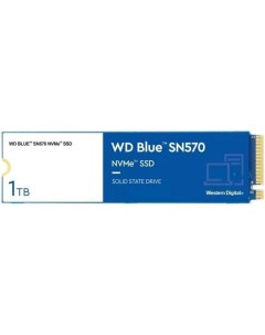 SSD диск M 2 2280 1TB Blue S100T3B0C Wd