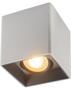 Накладной точечный светильник DK3030 WB Denkirs