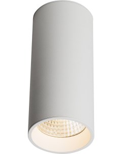 Влагозащищенный светильник SLC7392 12W W Ledron