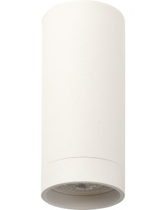 Накладной точечный светильник DK2051 WH Denkirs