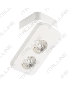 Накладной точечный светильник 62AC21 White Italline