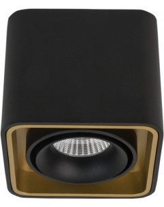 Влагозащищенный светильник TUBING Black Gold Ledron