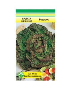Семена Салат Ред кросс кочанный 0 5 гр Минсксортсемовощ