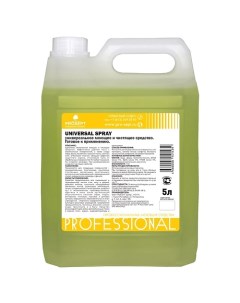 Универсальное моющее и чистящее средство Universal Spray 5000 Prosept