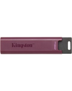 USB Flash DataTraveler Max Type A 256GB Kingston