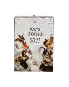 Календарь настенный Skn photogallery