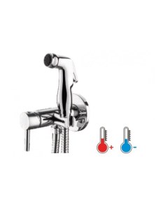 Смеситель с гигиеническим душем Ledeme арт. L5398-2