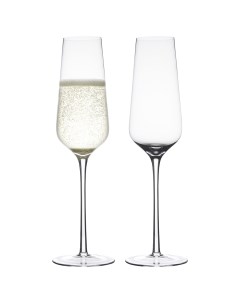 Набор бокалов для шампанского flavor 370 мл 2 шт прозрачный Bergenson bjorn