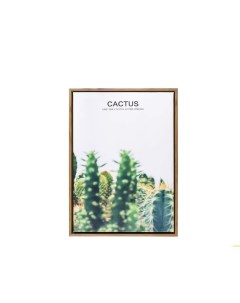 Картина kaktus 30х40см мультиколор Ogogo